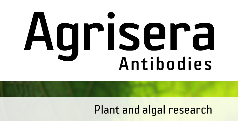 Agrisera MicroRNA相關研究植物蛋白抗體火熱促銷中！